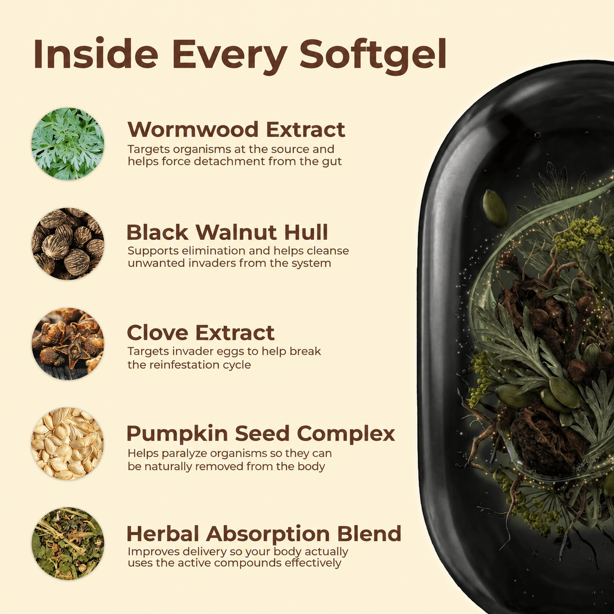 Wormwood Aged Black Walnut & Clove Softgels