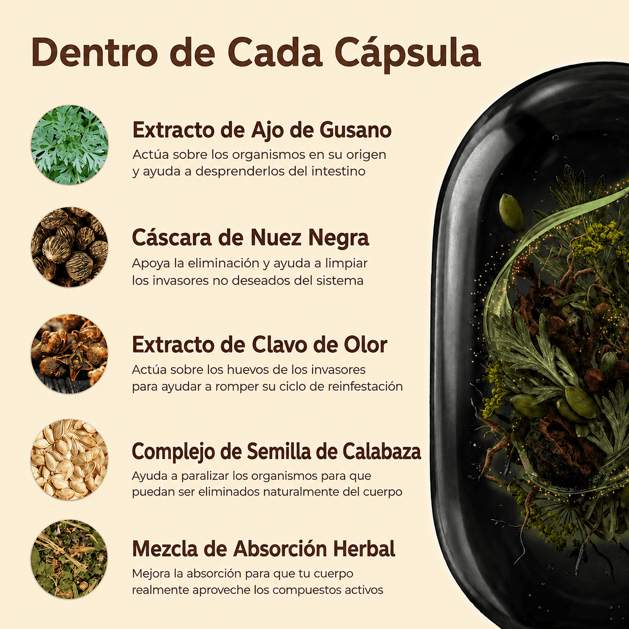 Wormwood Aged Black Walnut & Clove Softgels