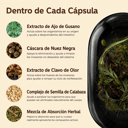 Wormwood Aged Black Walnut & Clove Softgels