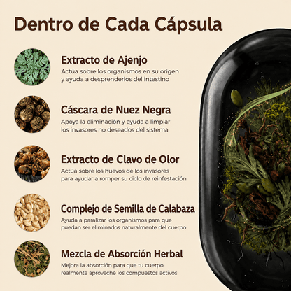 Cápsulas blandas de ajenjo, nogal negro añejo y clavo