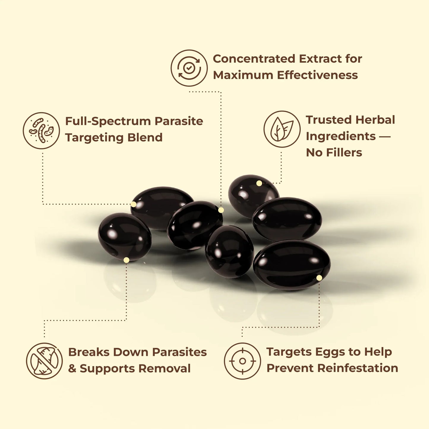 Wormwood Aged Black Walnut & Clove Softgels